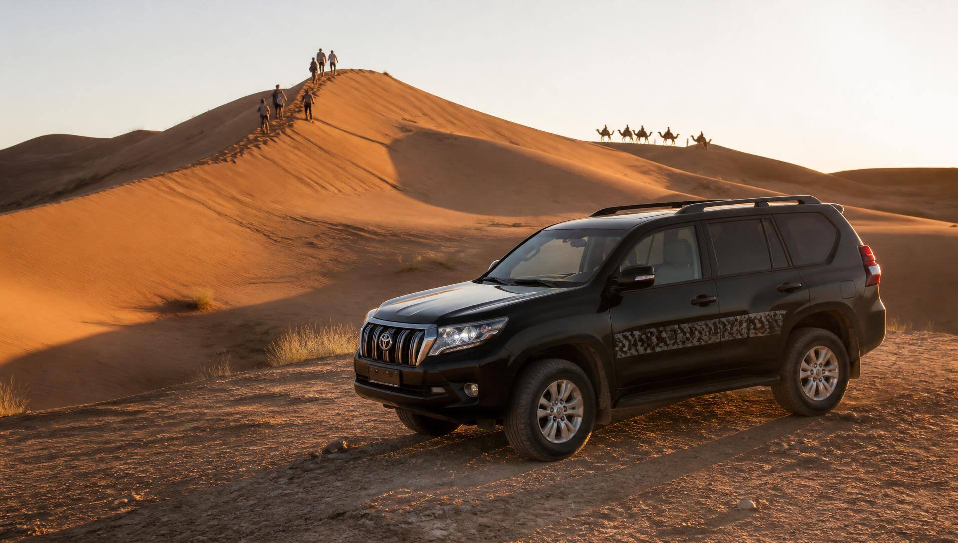 Tourist Excursions with AMAZIR in Morocco